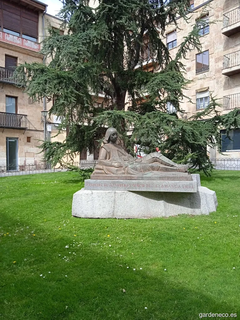 Jardín de plaza de Monterrey