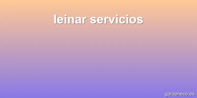leinar servicios