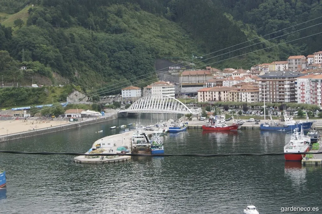 Erregeen Bidea /Camino De Los Reyes