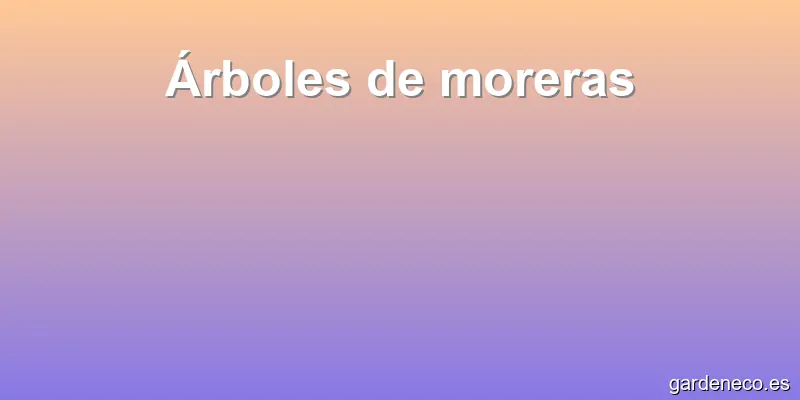 Árboles de moreras
