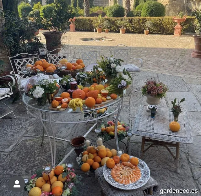 Museo Vivo de la Naranja