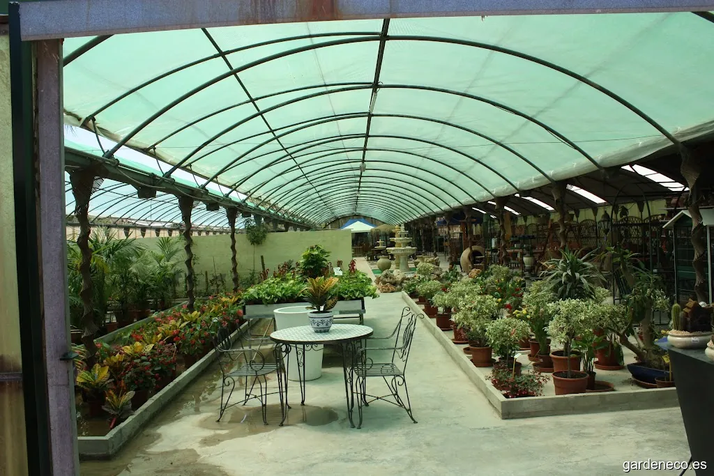 PARKINSONIA, S.L. GRUPO VIVEROS SAN PASCUAL