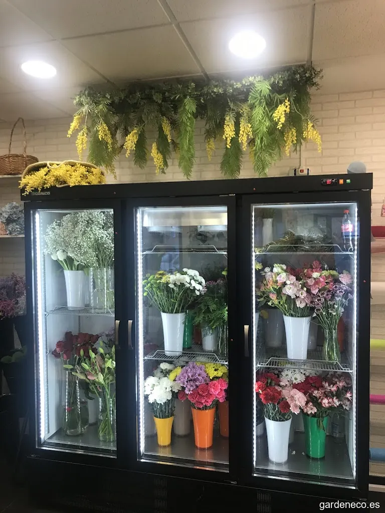Floristería el jardín de Lucía