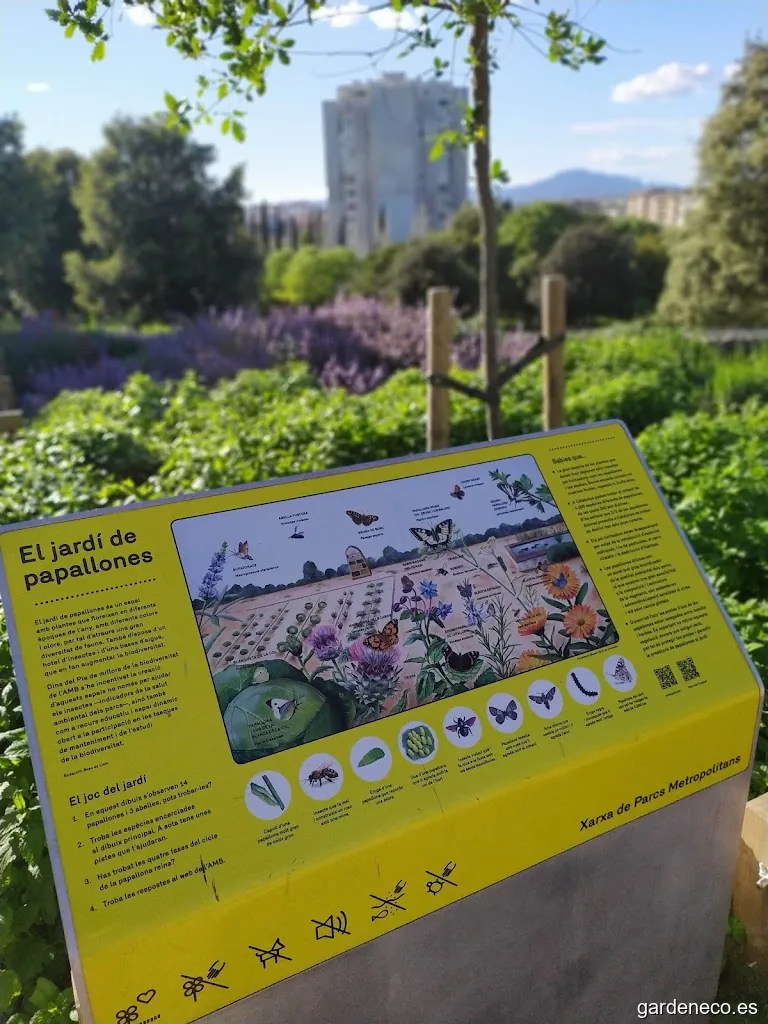 Jardín de Mariposas - Jardí de Papallones