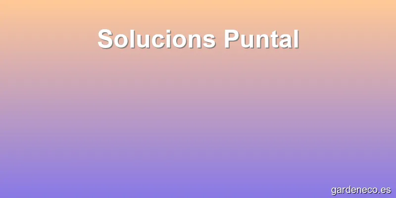 Solucions Puntal