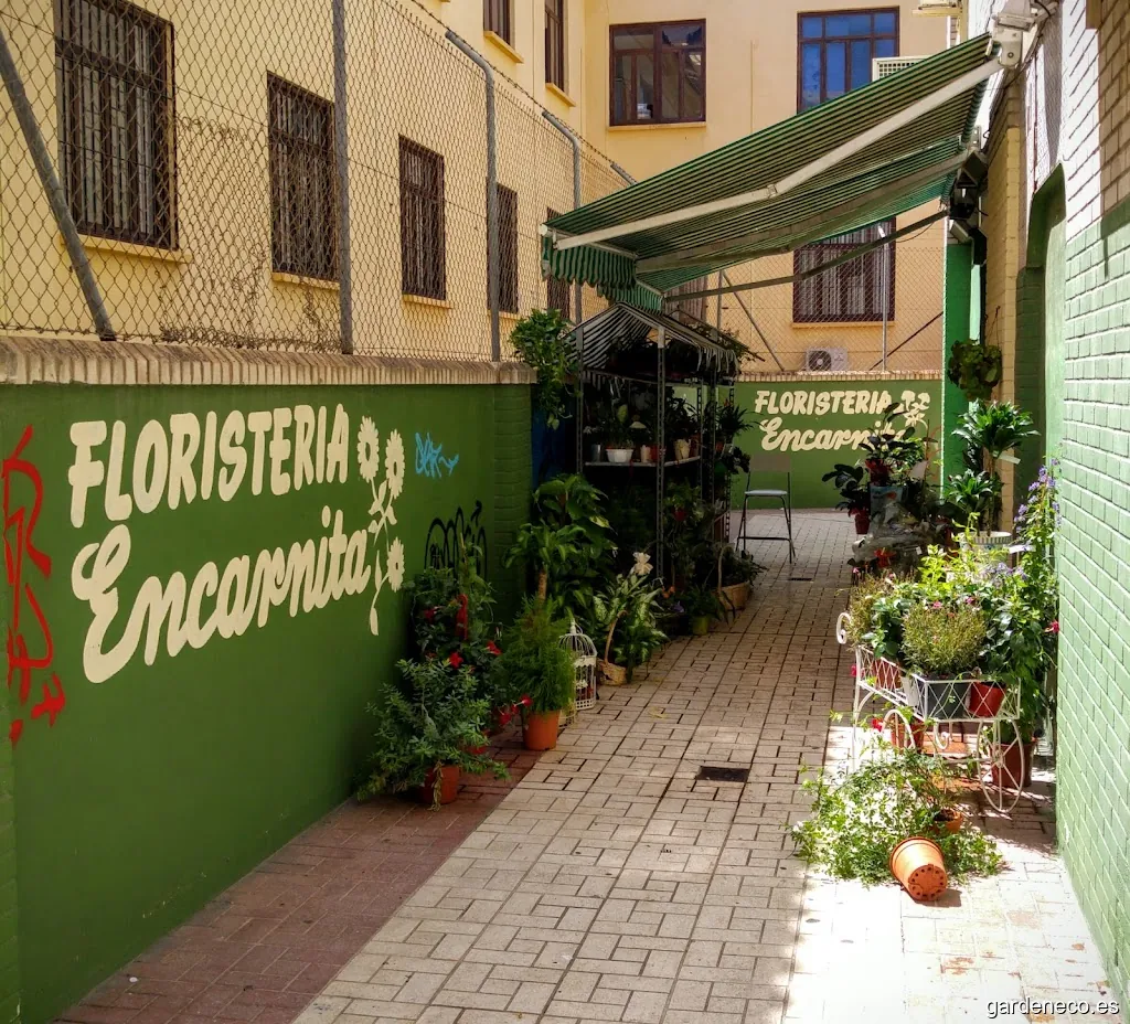 Floristería Encarnita Málaga