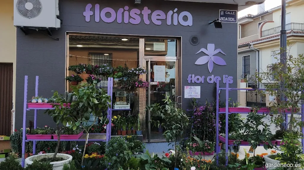 Floristería la Flor de Lis