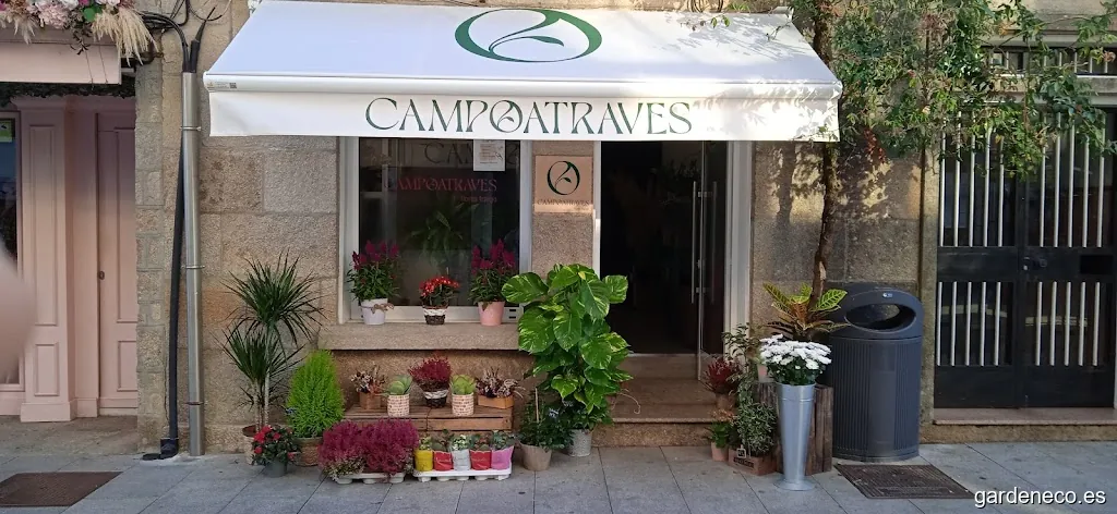 Campoatraves