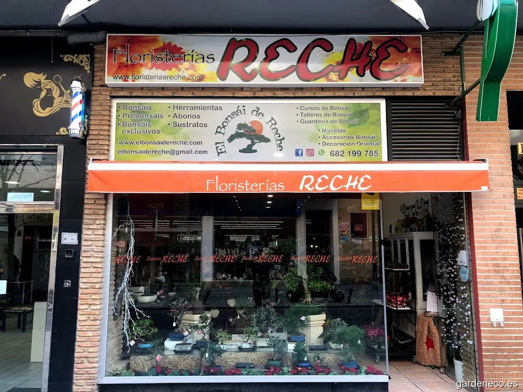 El bonsai de Reche