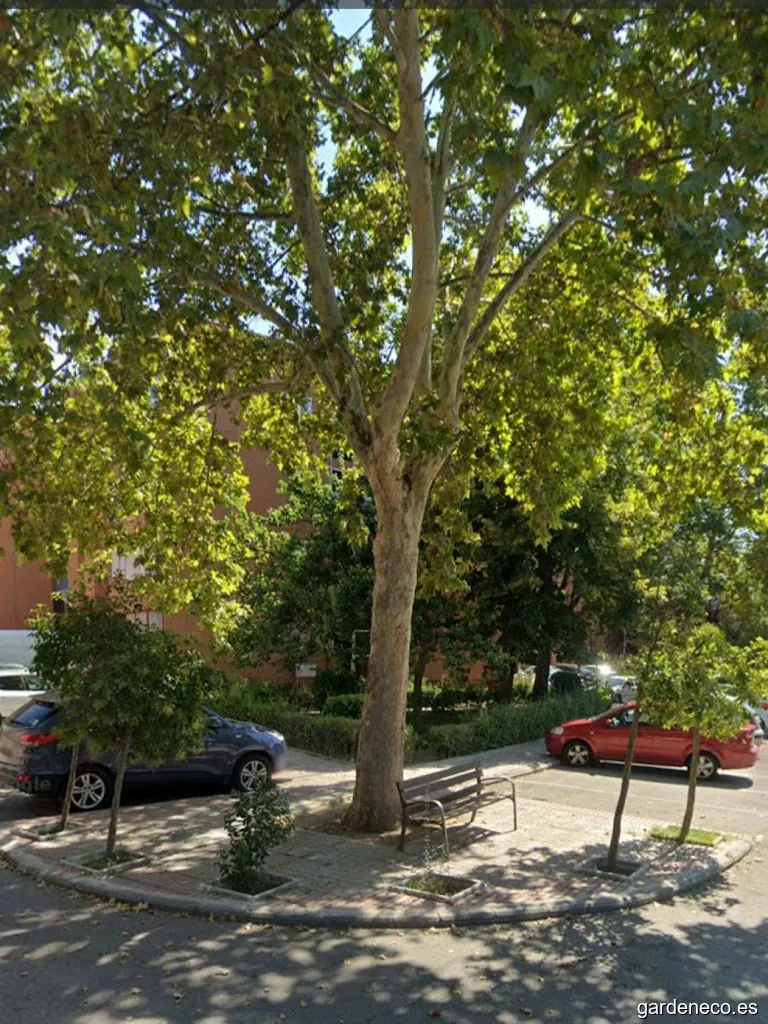 Jardines de la Plaza Violeta Parra