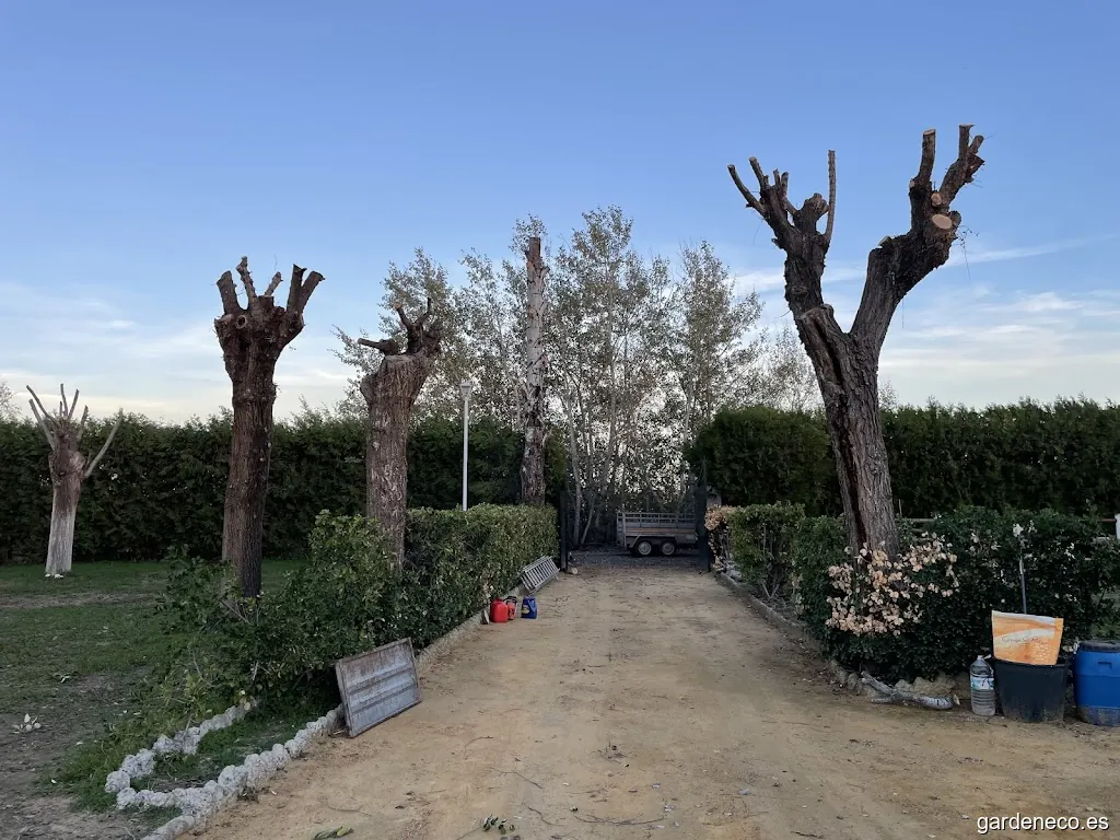 Desbrolan Jardinería