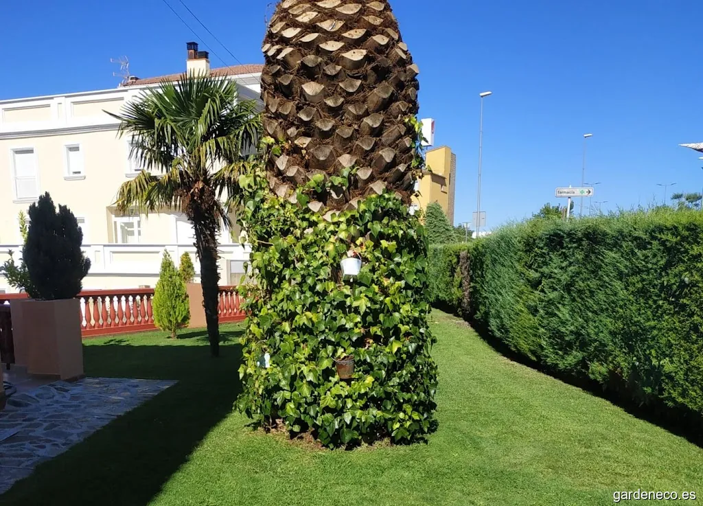 Jardinería y Limpieza Iglesias