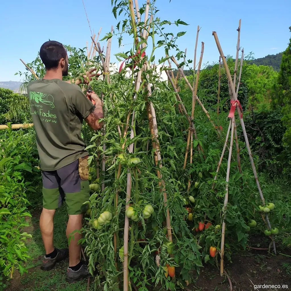 Jardineria Les Fades