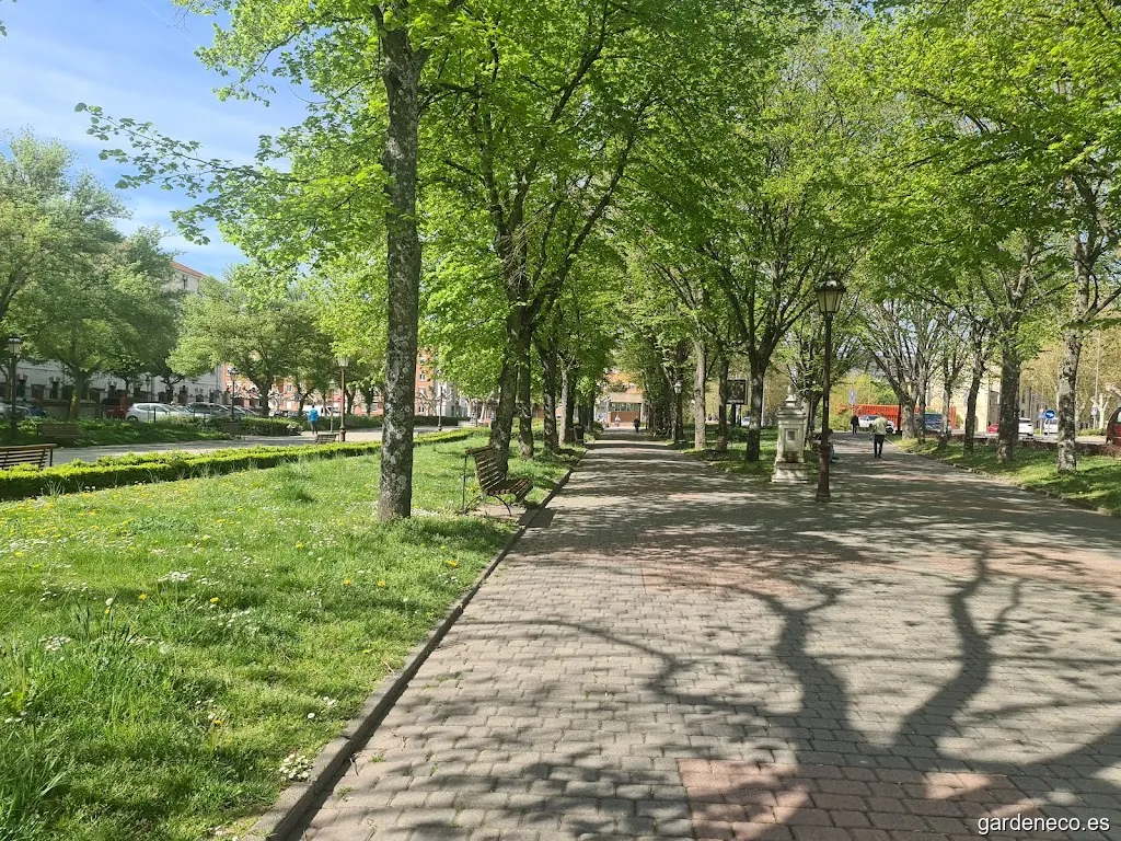 Jardines del Paseo del Empecinado