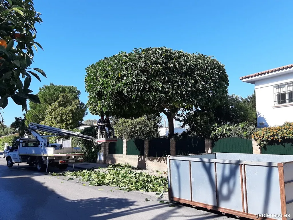 OCA MANTENIMIENTO Y SERVICIOS INTEGRALES, ESPECIALISTAS EN JARDINES