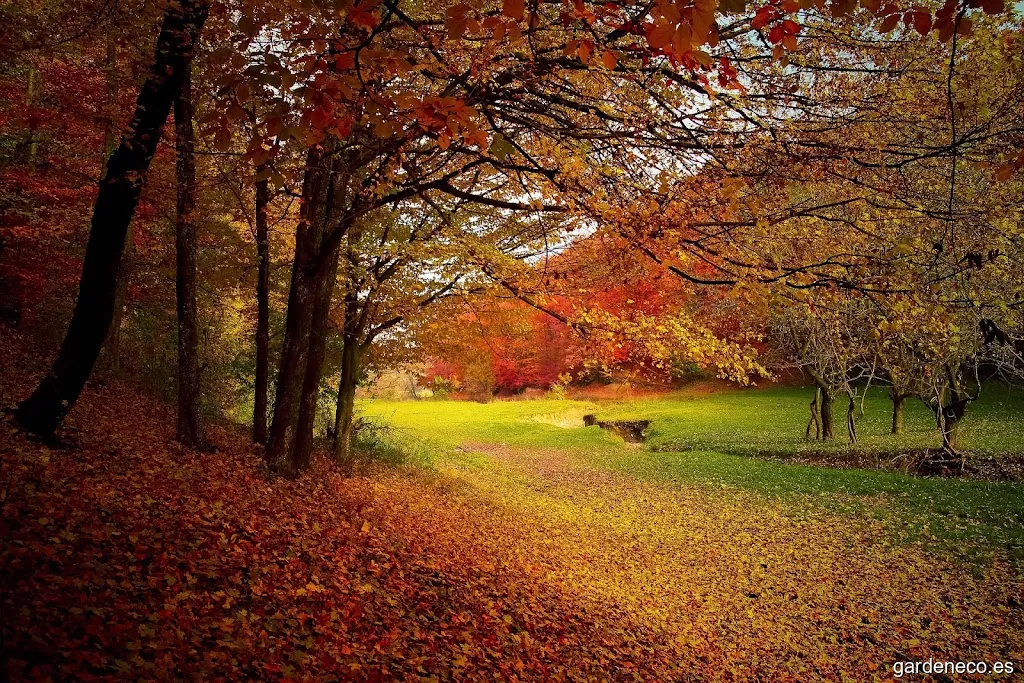 Vallromanes Verd, S.L.