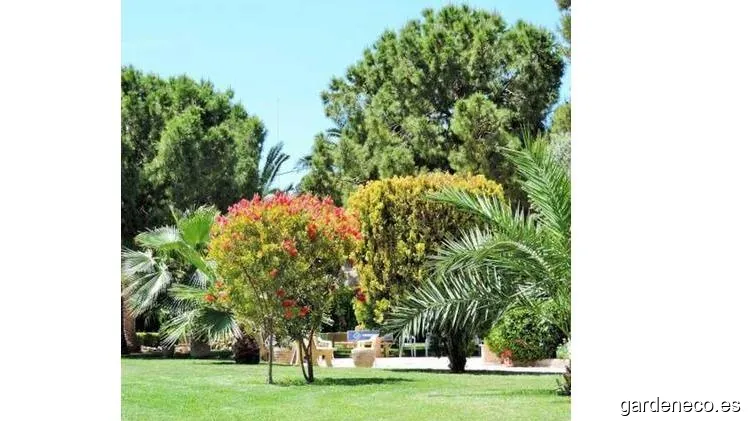 Alzineta Jardinería