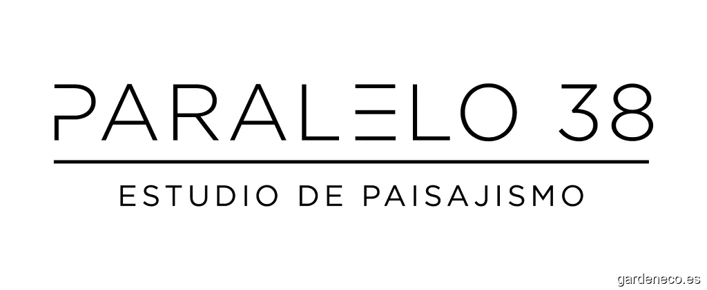 Paralelo 38 Estudio