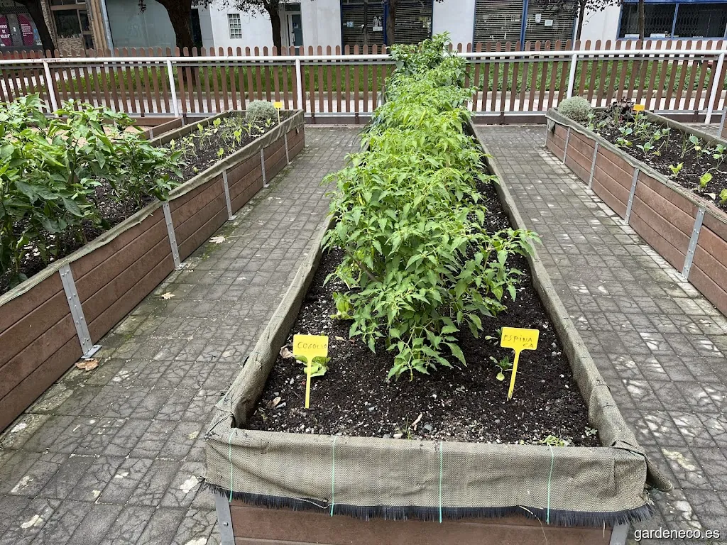 Huerto urbano y arenero