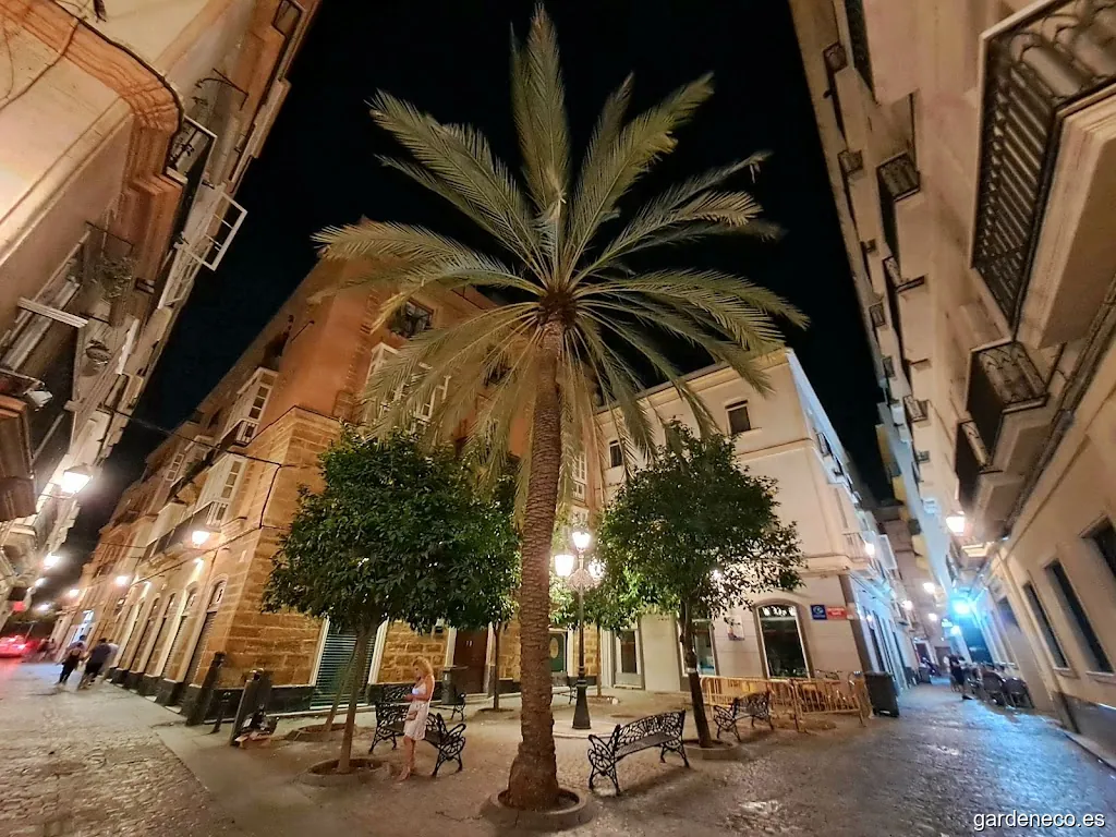 Plazoleta de Mendizabal