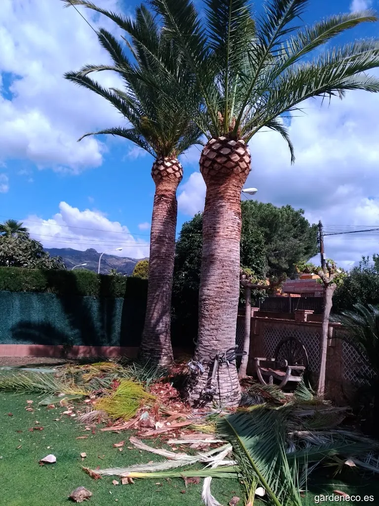 Ángel Cabedo Servicios de Jardinería