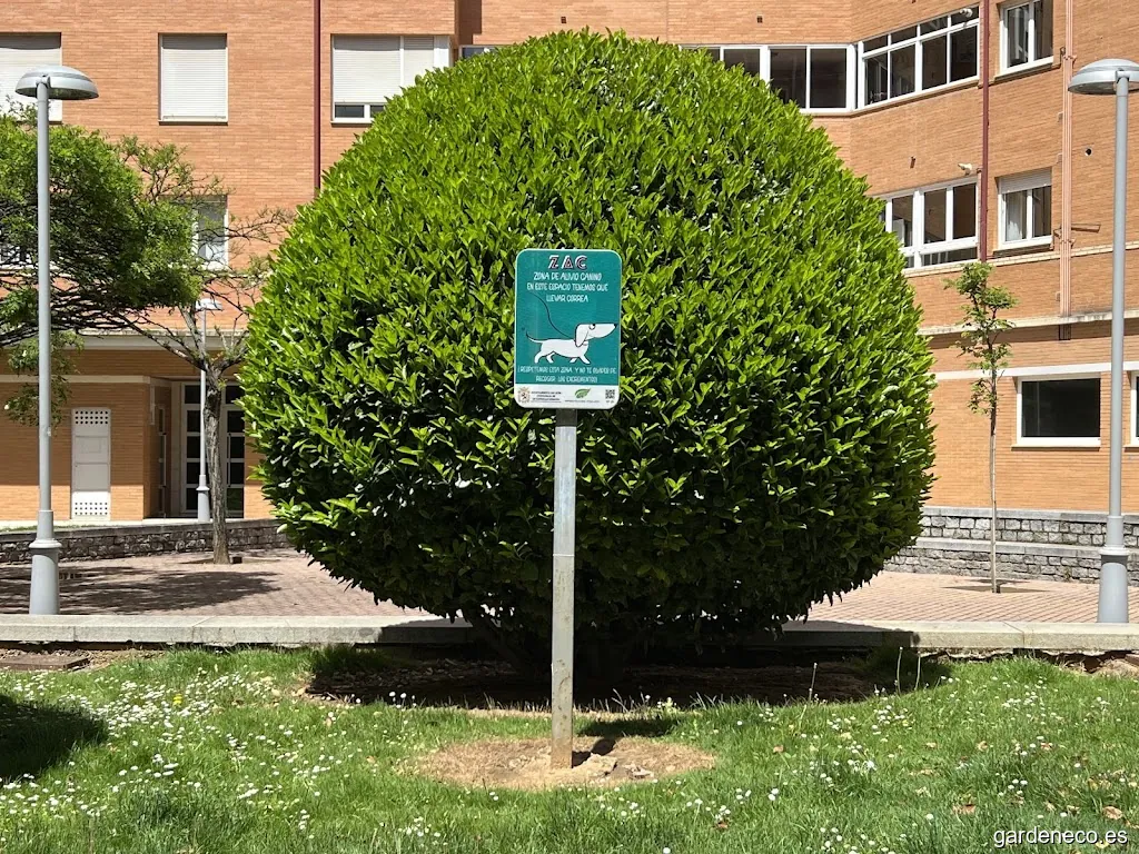 Jardín del Alcalde Francisco Crespo