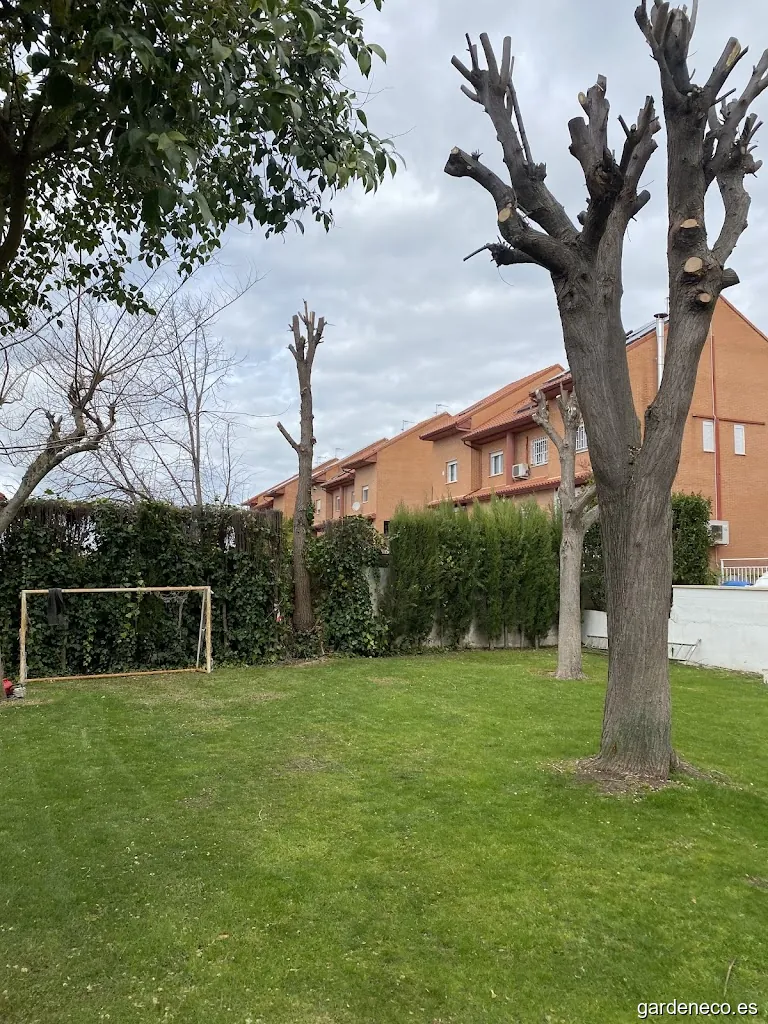 Raíces Vivas Servicios de jardinería integral