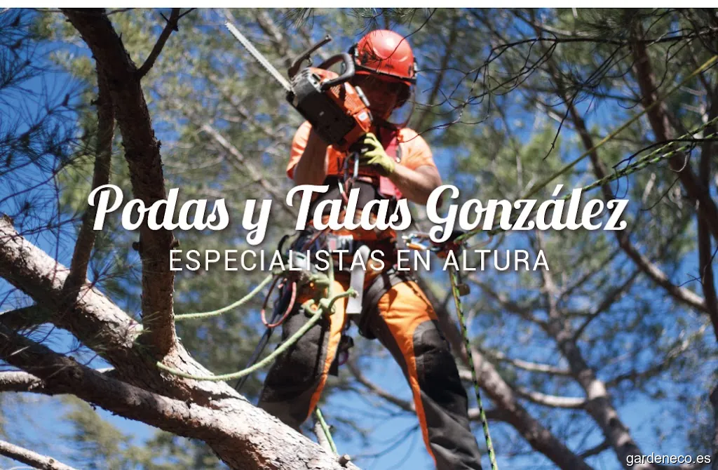 Podas y talas González