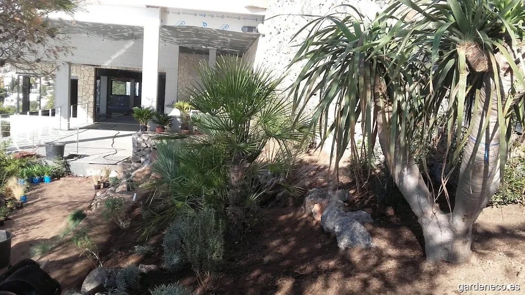 Cercis jardinería sostenible