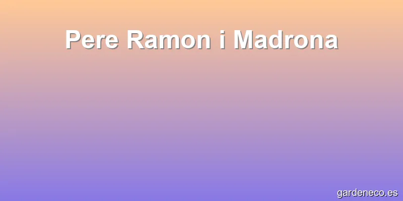 Pere Ramon i Madrona
