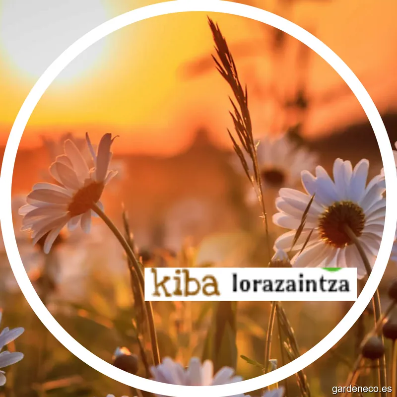 Jardinería KIBA lorezaintza