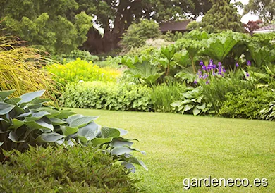 Jardinería Colmenar Viejo VIMAJAR