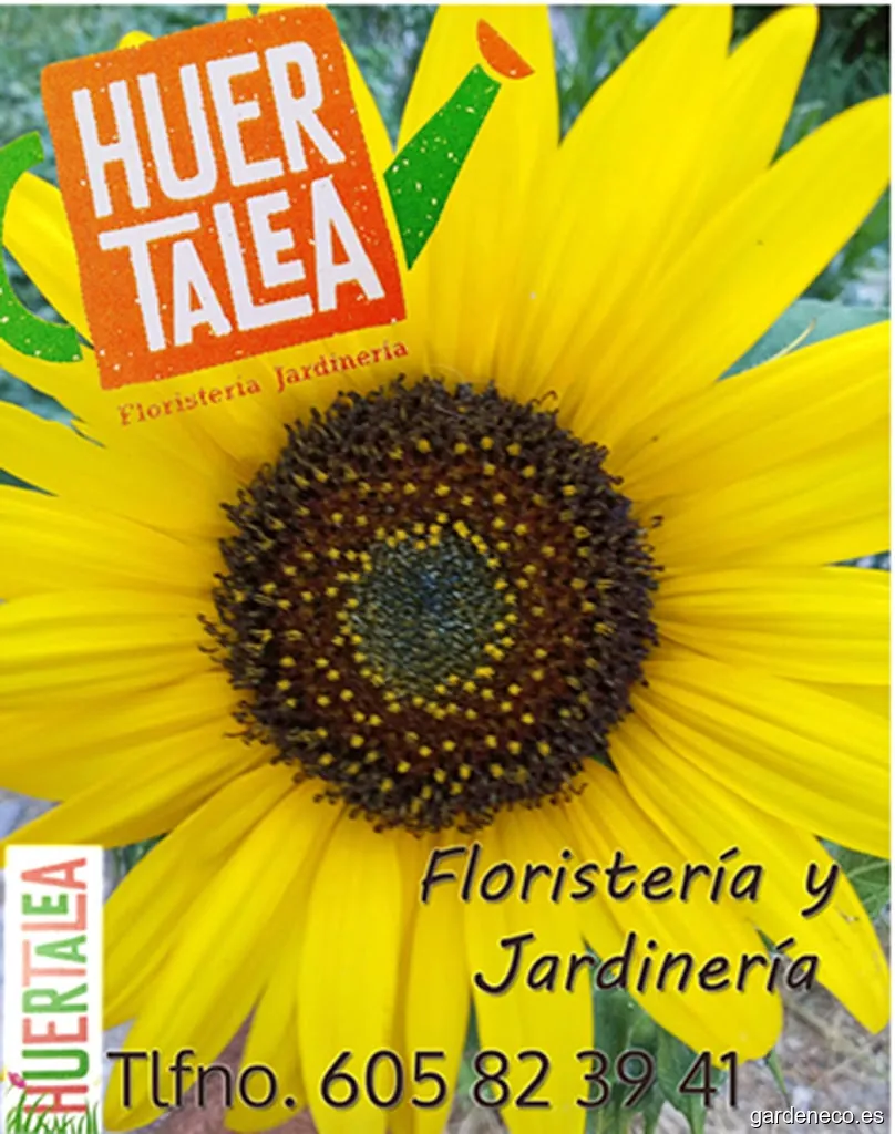 JARDINERIA HUERTALEA