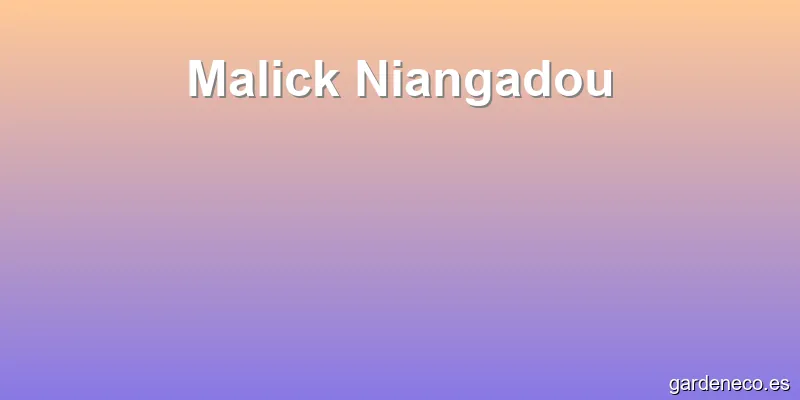 Malick Niangadou