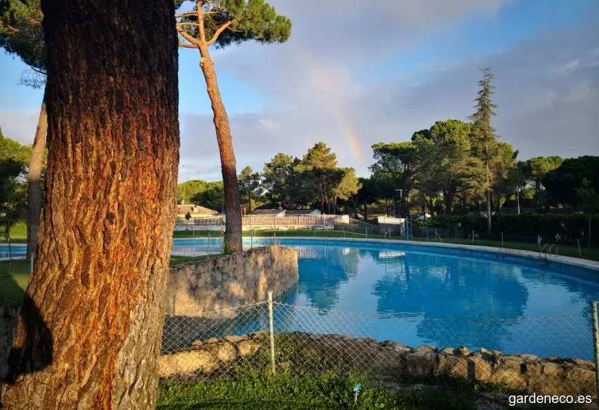 Ávila Espacios Verdes SL