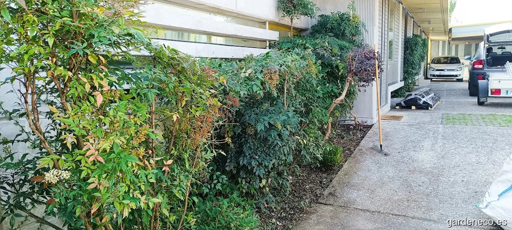 Desbroces y Jardinería Lago