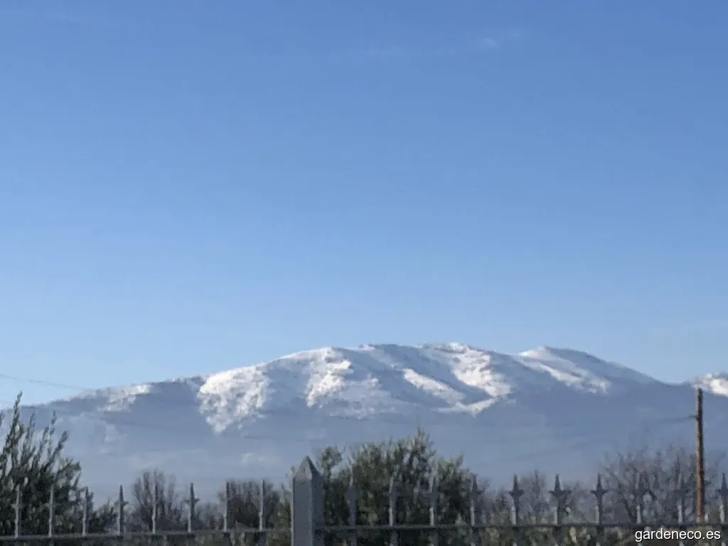 Rotonda del Hospital de Baza.