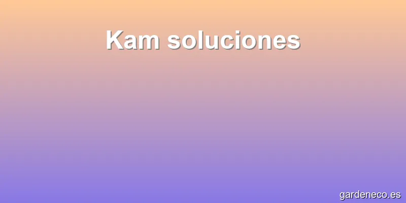 Kam soluciones