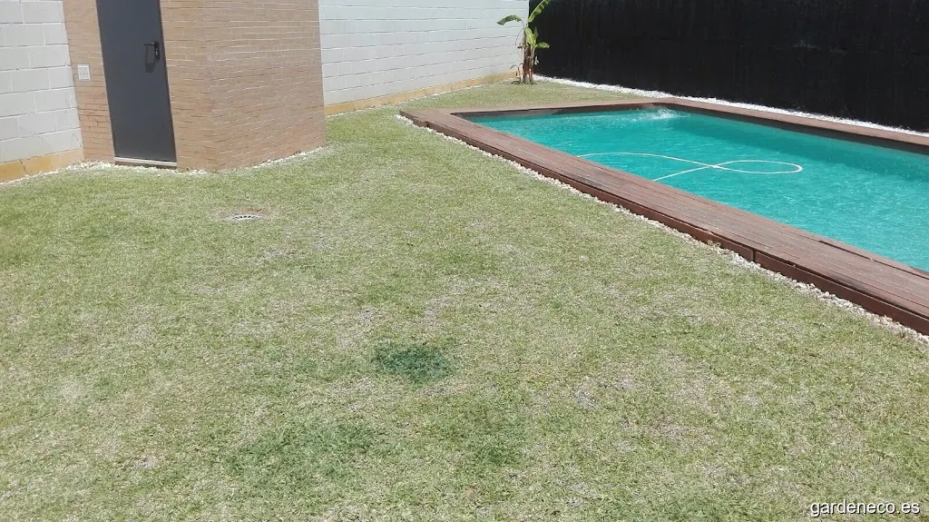 Andaluza de Servicios Medioambientales e Hidrosiembras S.L. (Andaluza De Hidrosiembras)