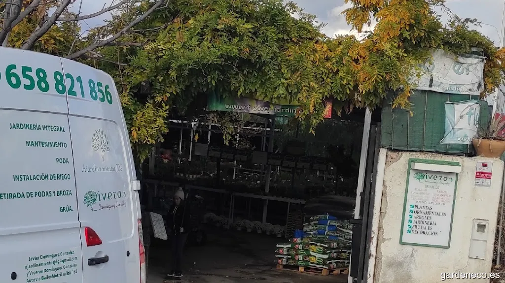 Viveros Domínguez González