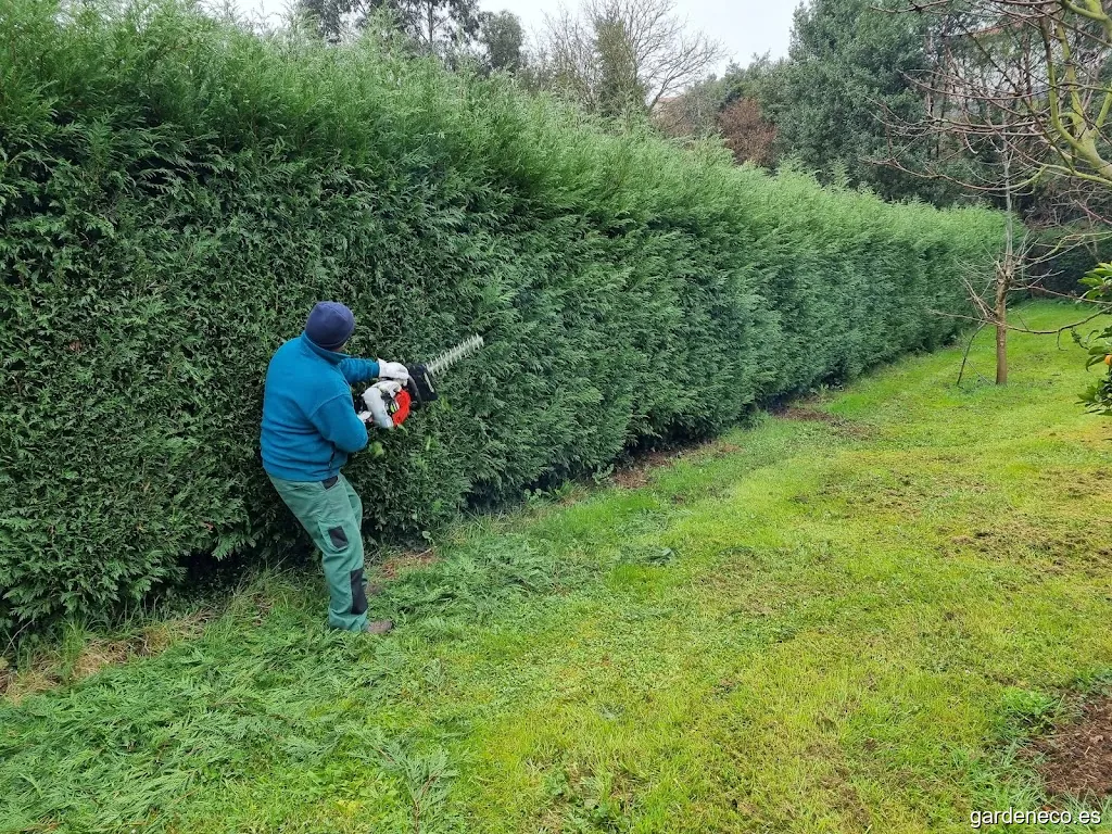 Jardinería y mantenimiento Israel