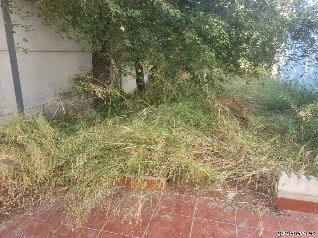 Limpieza y jardinería Acosta