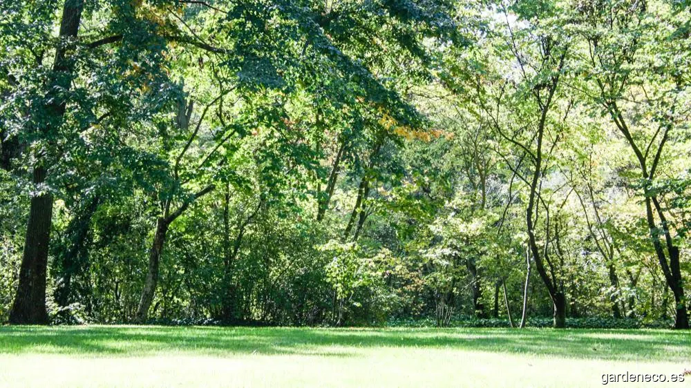 David Jiménez | Estudio de Arquitectura y Paisajismo en Madrid