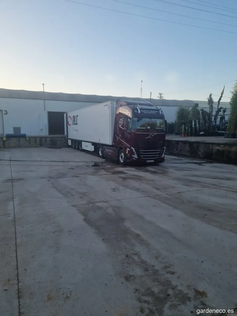 Barnaplant S.L. (Venta al por Mayor)