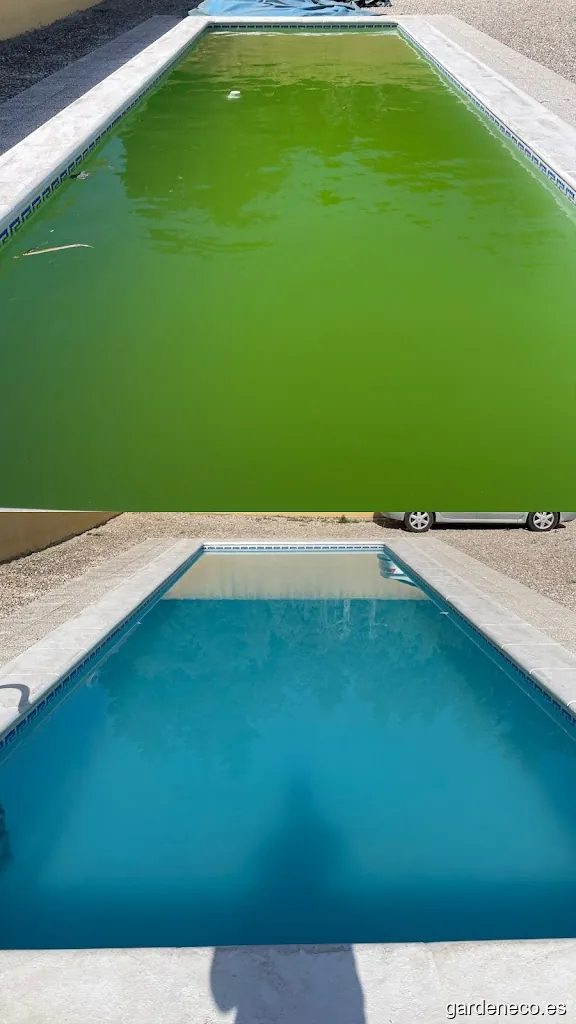 Multiservicios Rubio&Vega