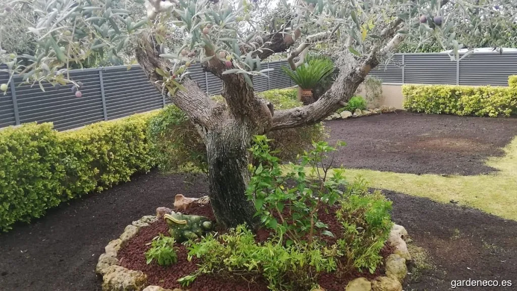 JL JARDINERO A DOMICILIO