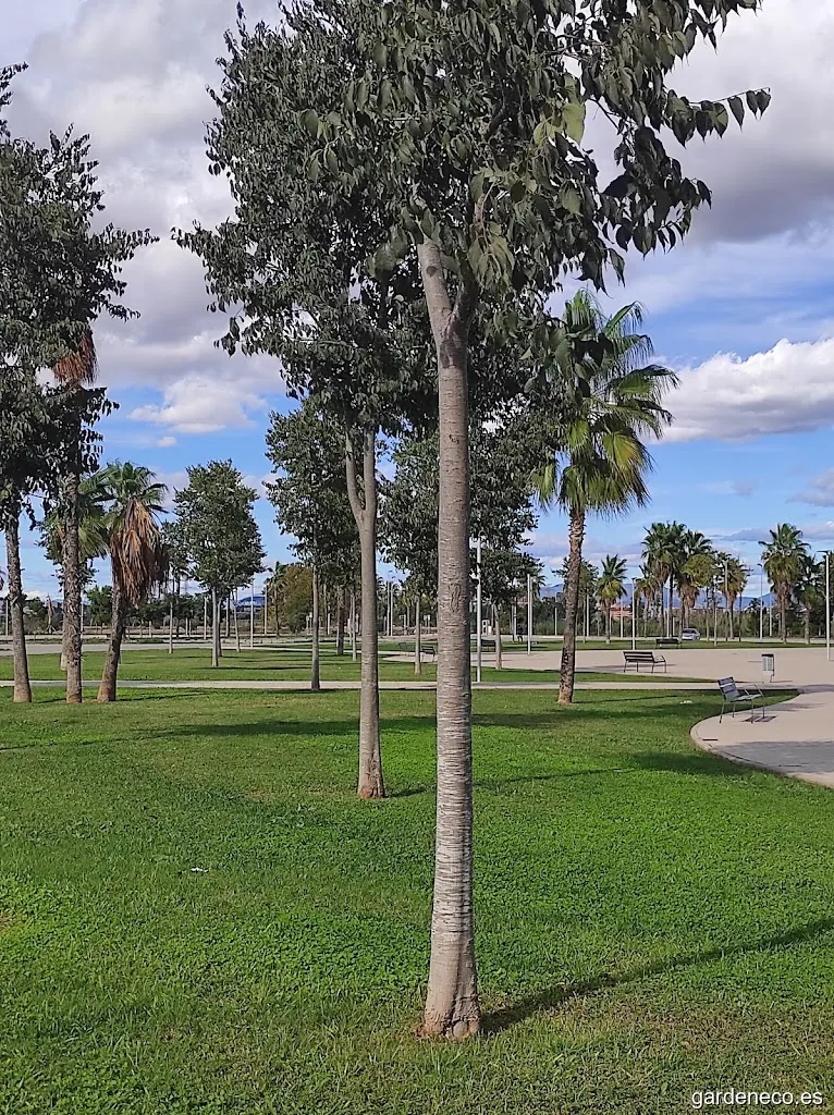 Plaza de la Libertad