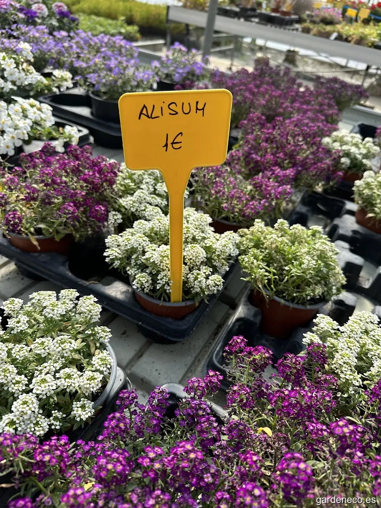 Viveros Eskalmendi Sl