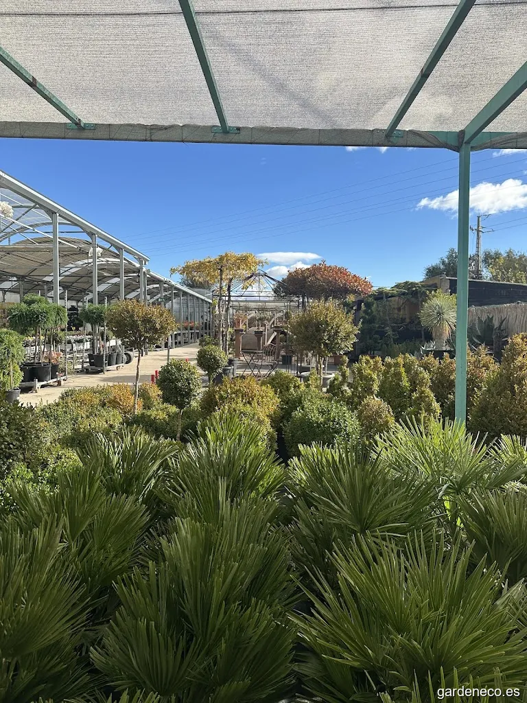 Centro de Jardinería Silvosa Hermanos | Vivero de plantas