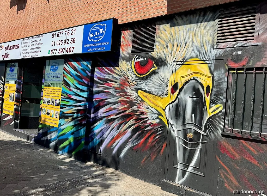 Soluciones y Actividades Millán S.L.